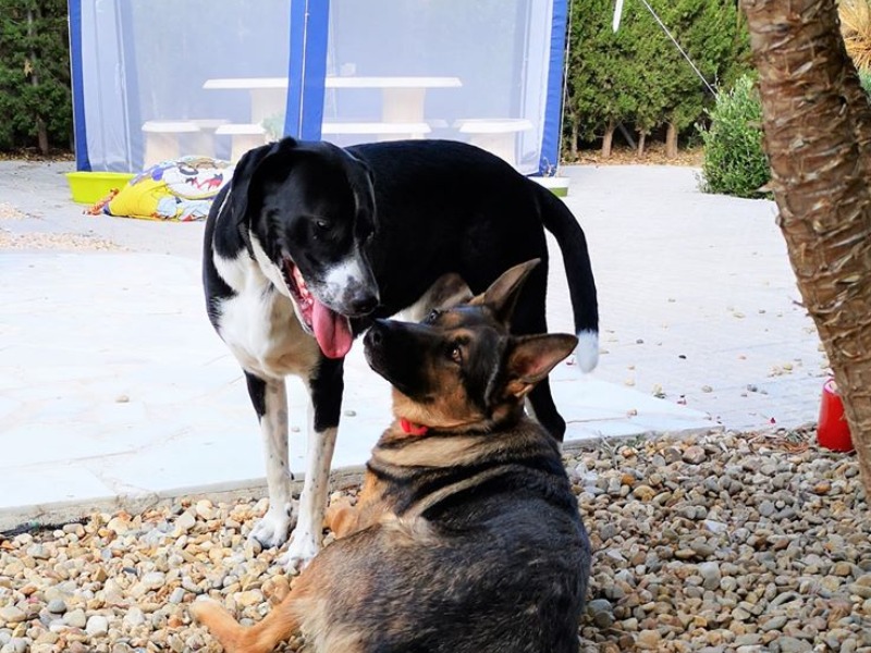 Hector and Luna kissing time